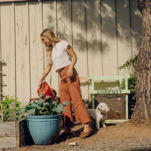 Mollusk Painter Pants